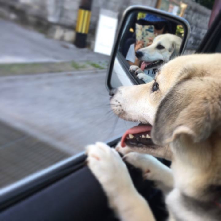 A5b40e81 18a1 4124 8390 dfd5f2f70806