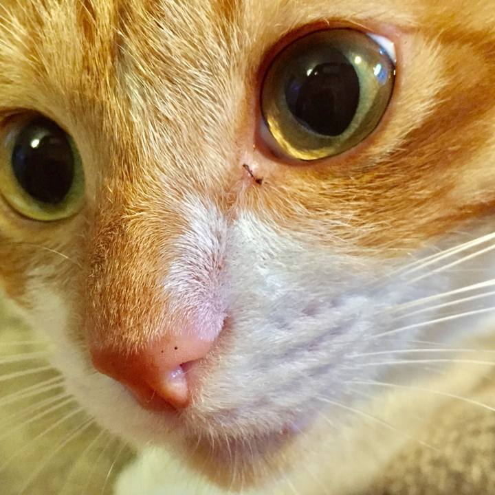 A5b4f1b6 6db4 435b bb8d aa1e7bd844ce