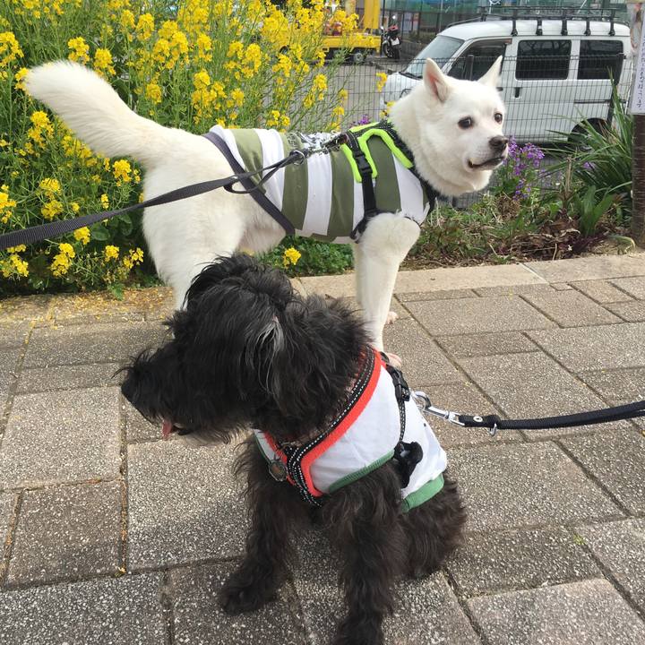 A5b4f48f b91a 465a b11f 26d2a4e744dc