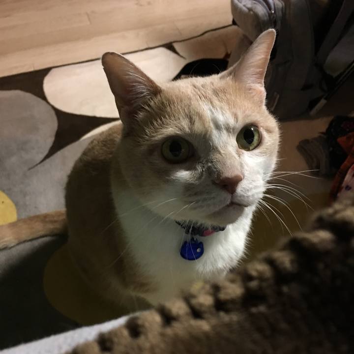 A5b4fb69 2ae1 4bb7 a286 32987e759f77