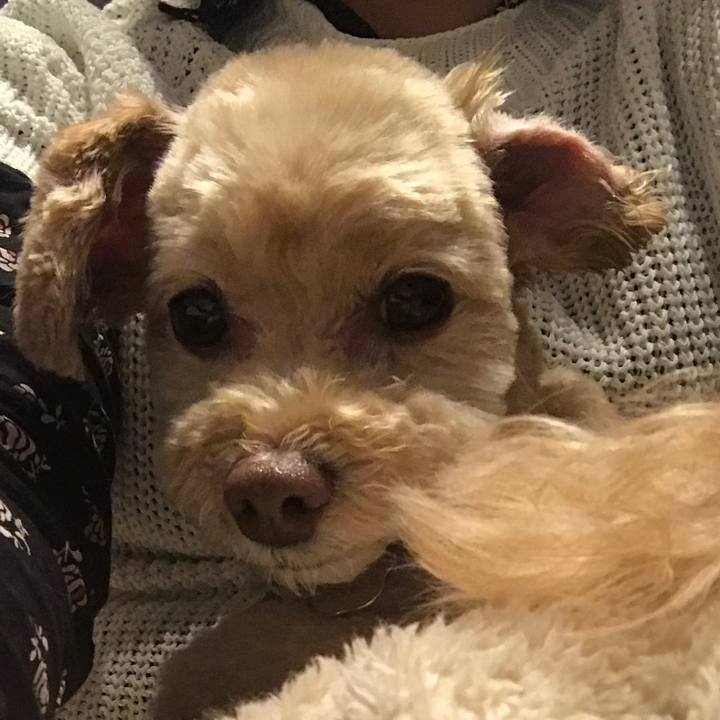 A5b5e195 8678 4a84 bda8 c4afc390ae0d