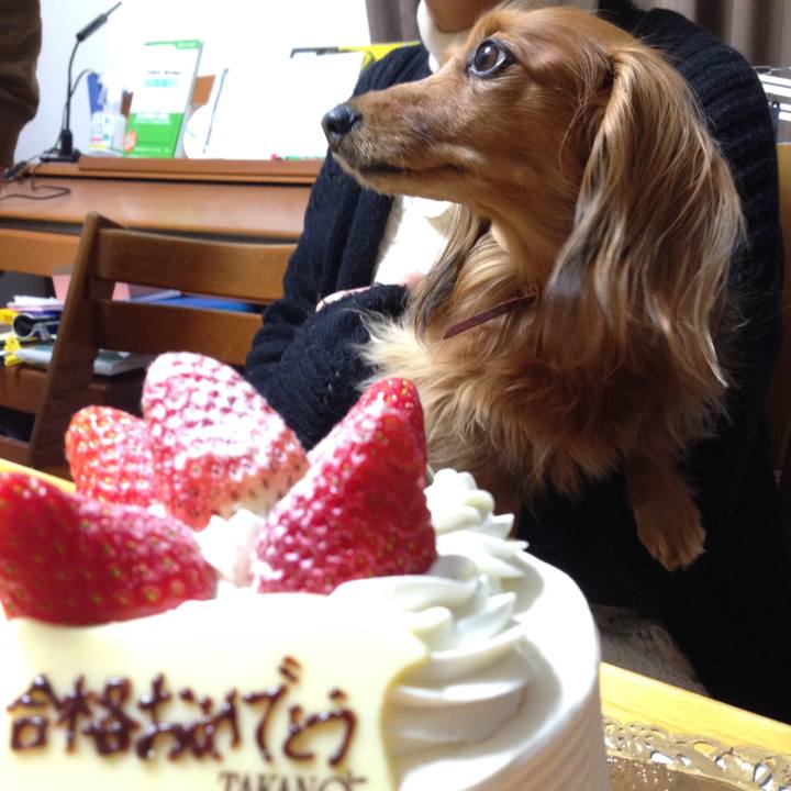 A5b5e3ff 3775 49db 80f4 b80862179f92