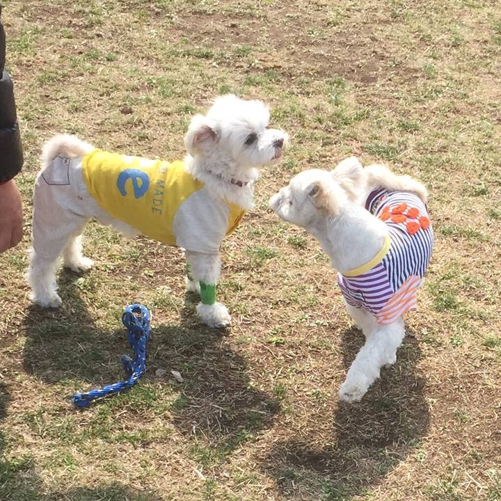 A5b61900 7782 4f9f 84da c2077b32d22c