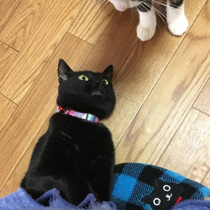 A5b6a749 a174 4b50 be14 05bec5cfc7ed