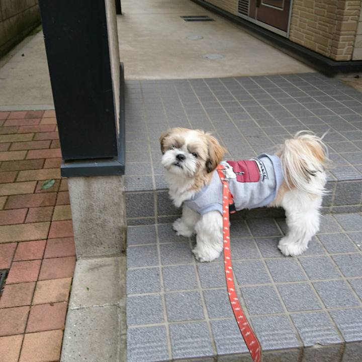 A5b6d173 81a6 4cc1 b209 3f763bfb1e8c