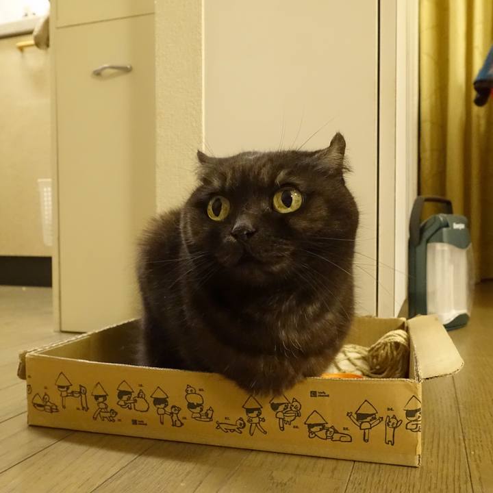 A5b6d61c 1fbe 491d 98fa 28304963255f