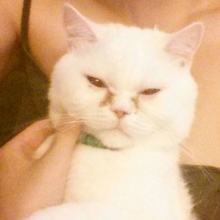 A5b778e1 b4b5 4c2a 875a 5f3c4a4de6b9