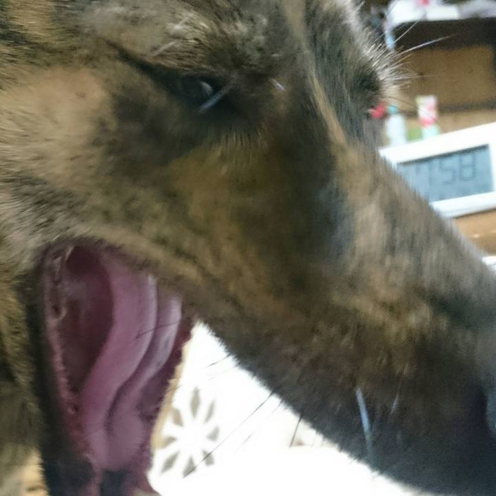 A5b7fe8a a6aa 4d05 b454 15e854fb5537