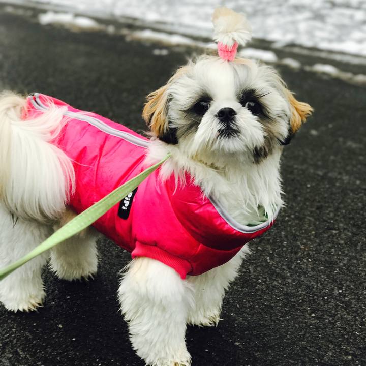 A5b8f876 7716 44c0 8dea e4582d27bb54