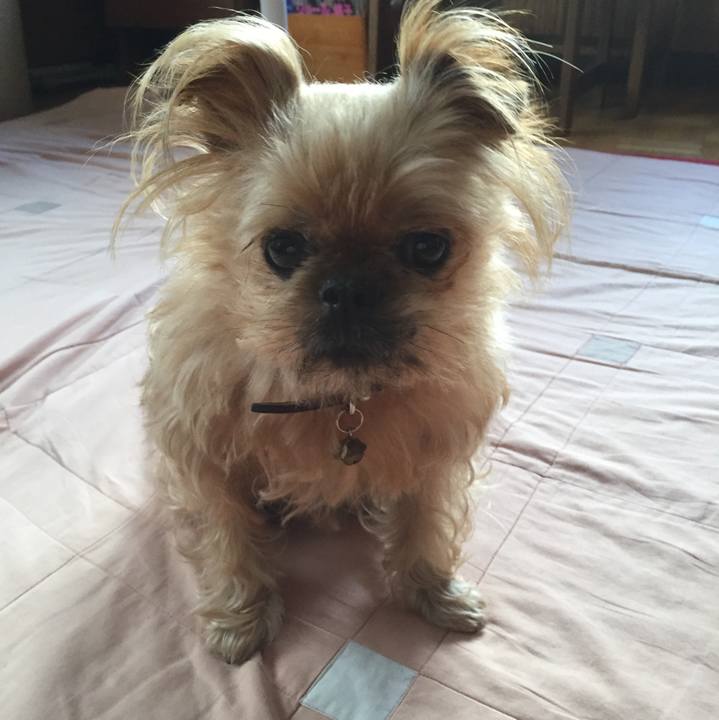 A5b95e95 b3f2 4652 94f6 588a7e7e69bf