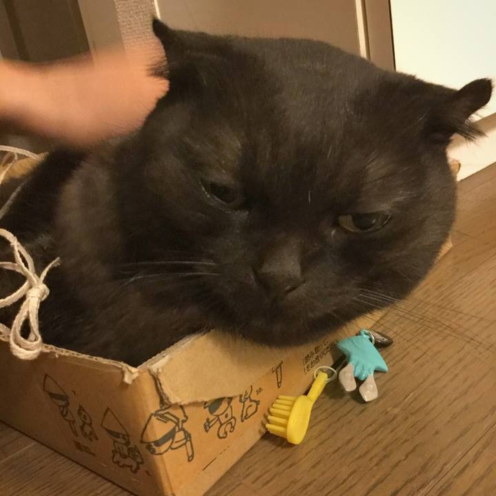 A5ba66ec 63ec 46be 9bdb 25bfaac1fa30