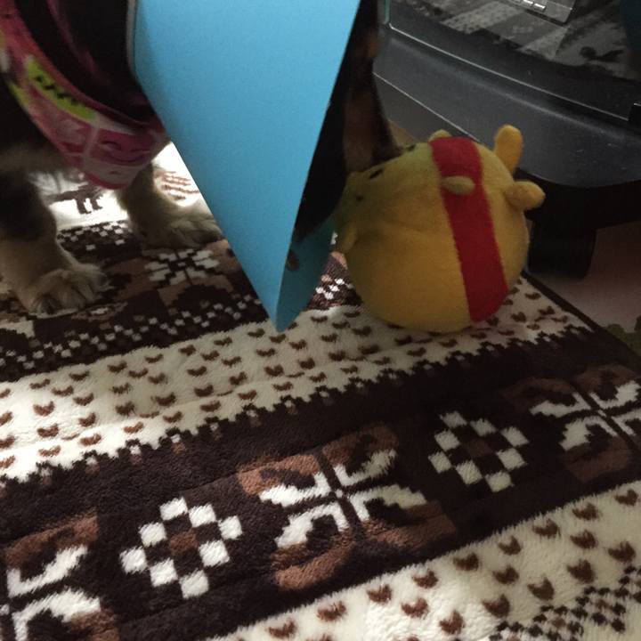 A5ba6aaa 8973 47ad 8e80 7622c3c6413b