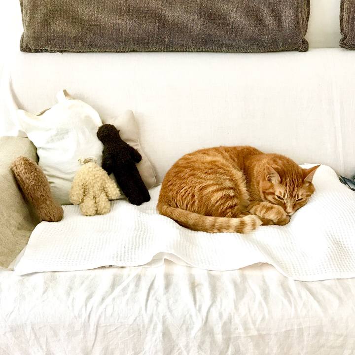 A5ba7db0 bb95 4890 b4f7 d5c2ecc9aeab