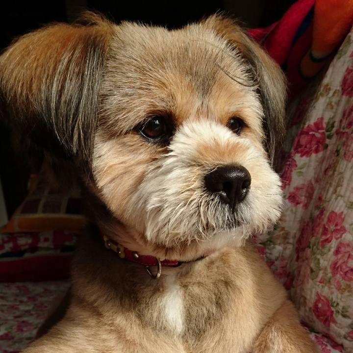 A5bab4e6 dc69 4fb9 a61e 5a7c36fd4b04