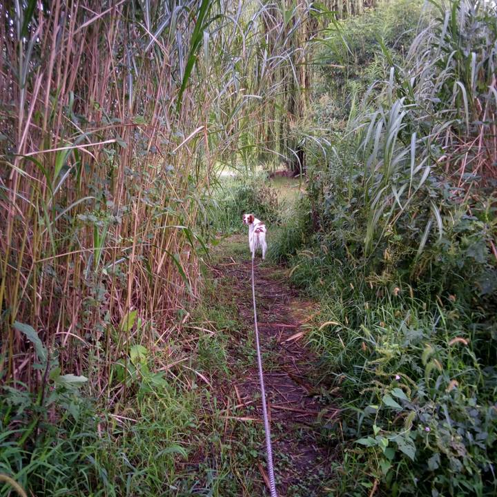 A5bb1130 788b 4143 940c d3640b7105aa