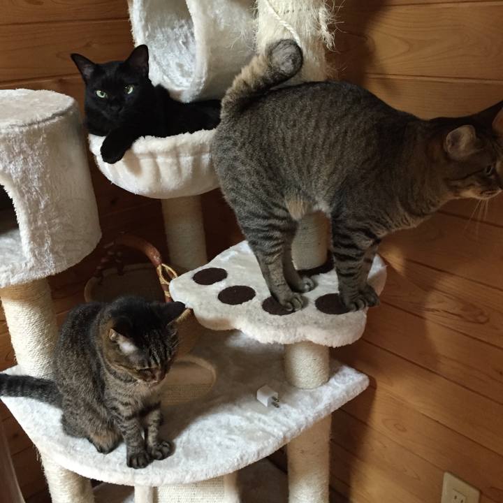 A5bb1fc4 5120 4017 a24d 2d7b6a610676