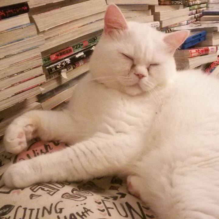 A5bb7f1f 19b3 4233 8fdc 3fa9344354b4