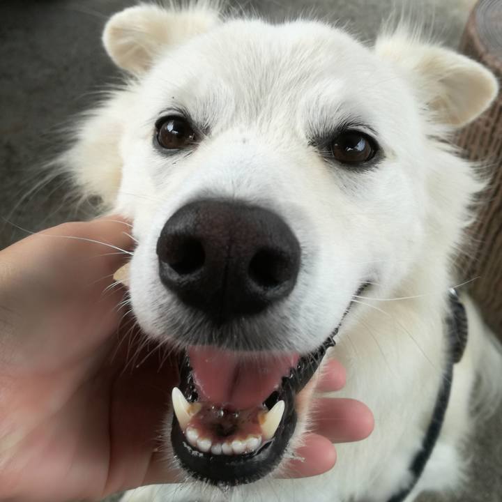 A5bb817b 33b3 48f3 90e7 93055914869f