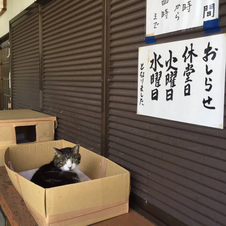 A5bb8f65 4dd5 42a5 bbda 1868732ca957