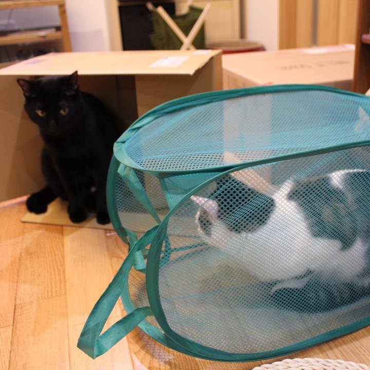 A5bb9de7 e994 4569 8934 c3b217a3e089