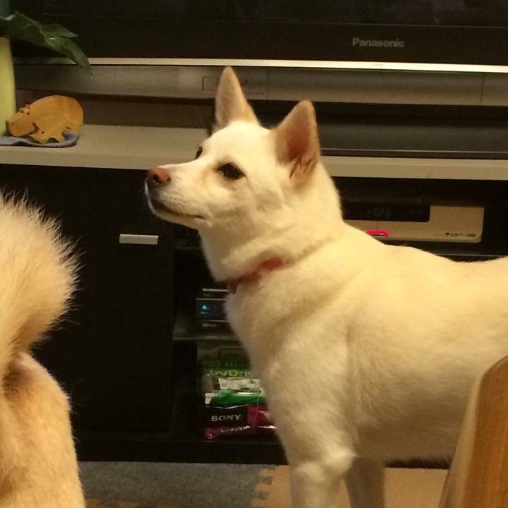 A5bcce31 1af3 4283 b7ca 85e3ab2e32b9