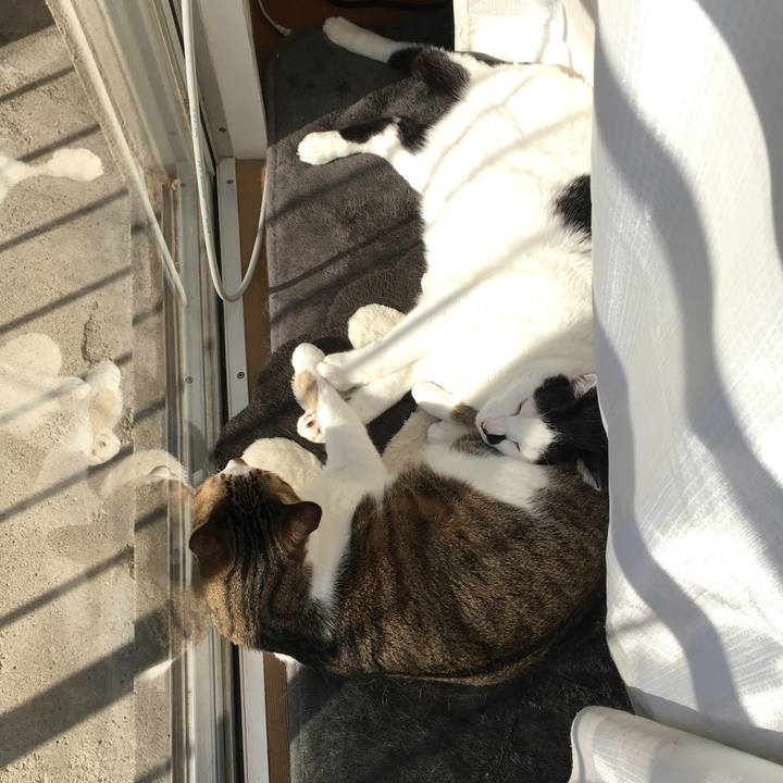 A5bd0327 9944 4bc1 8c35 153a6007abfe