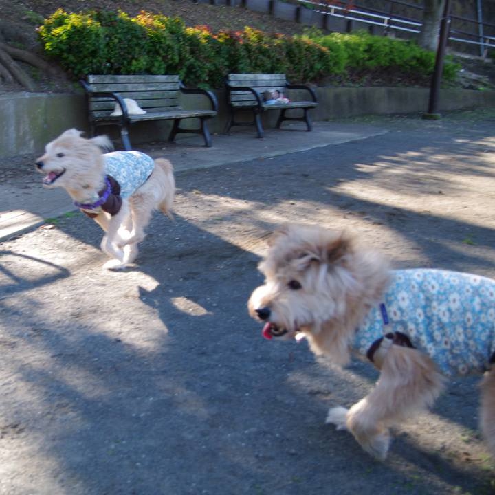 A5bd6823 ccaa 4cc2 ae89 ff7b4db9ee8e