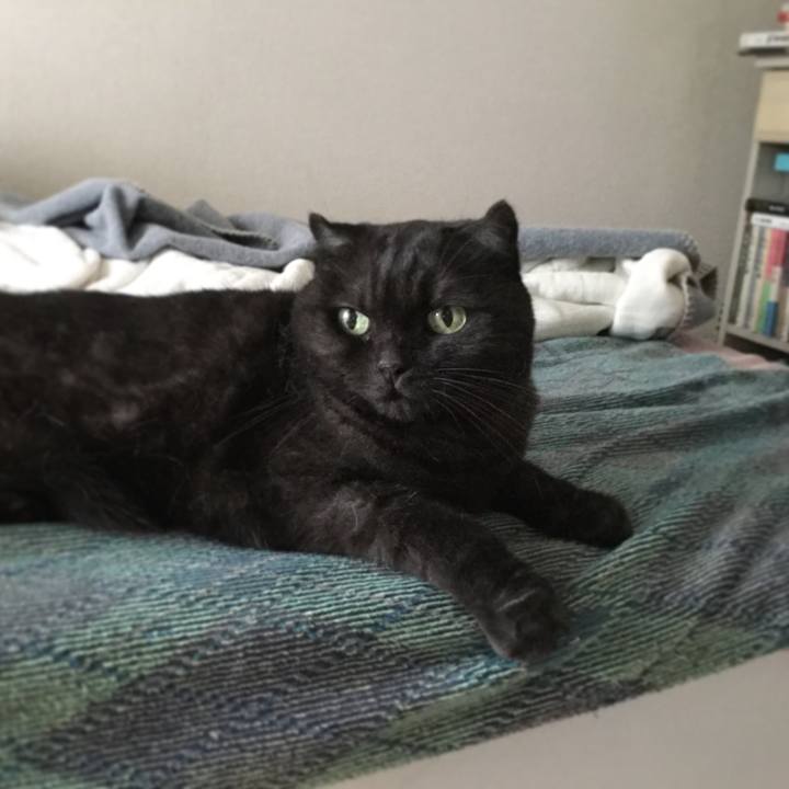 A5bd698b 4776 44d2 a1c9 fffd19fd475e