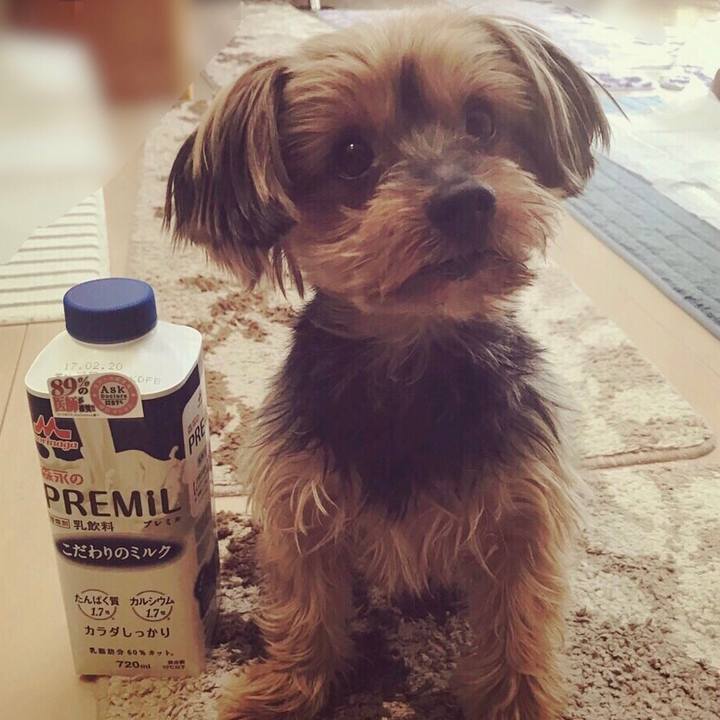 A5bd7d83 d521 4dbc 993c cabc4efa94a8