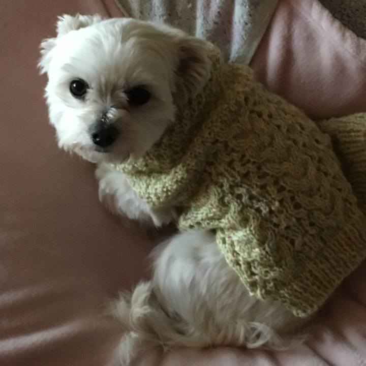 A5bdba22 5518 4c37 989f e1195d822b1e