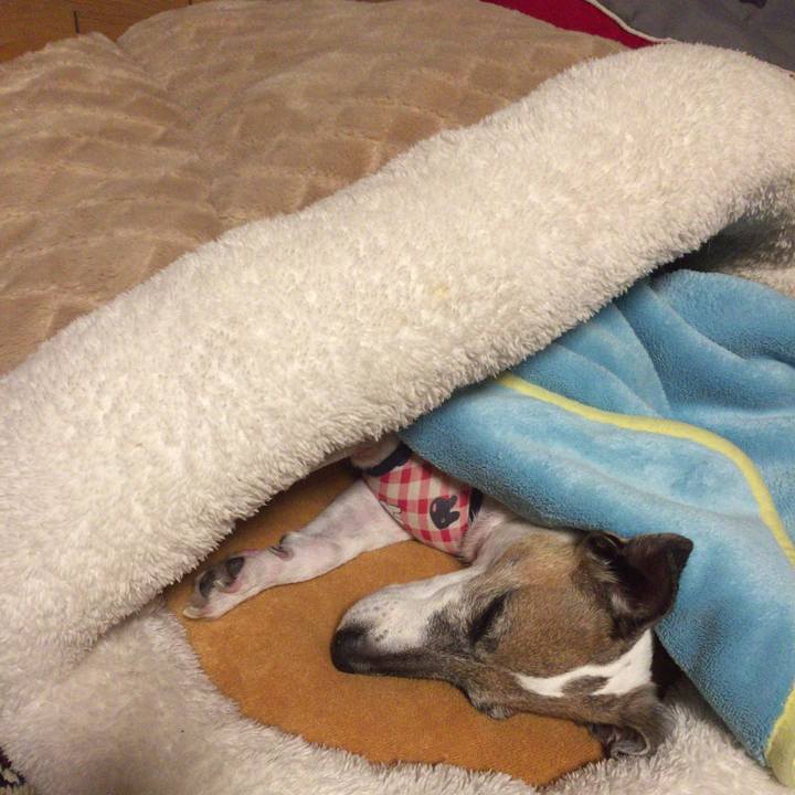 A5be4b7a 991c 4f3d a68d e9a1293b99a4