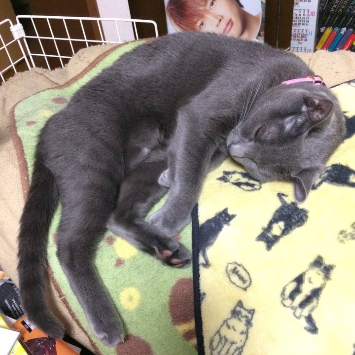 A5be6c17 3d91 4933 9124 c3ef2cddad45