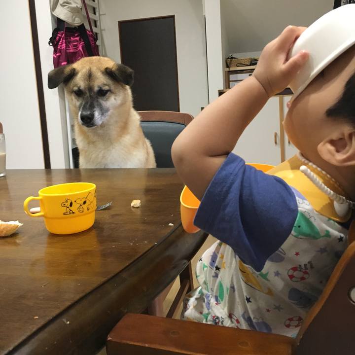 A5bea6e3 5478 4ef5 b3f4 cc7d478bdadb