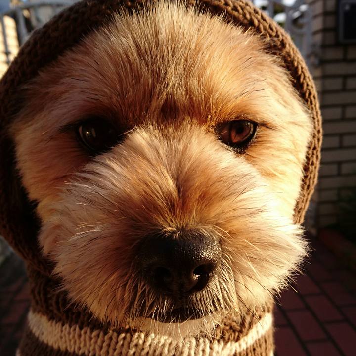 A5bfab33 cc51 4a3c 9991 5d9d0eb15d1b