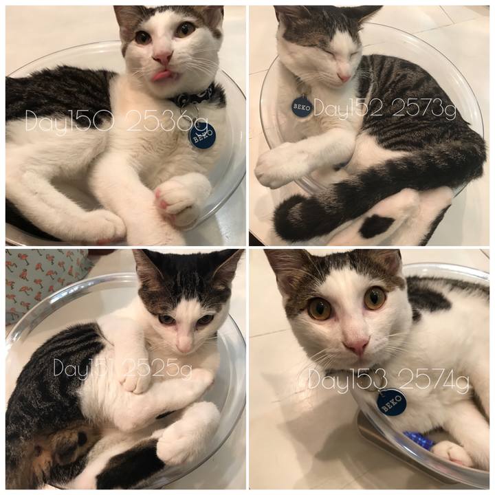 A5c0e8bf 95ac 4778 8d9f 6e5d599ef813