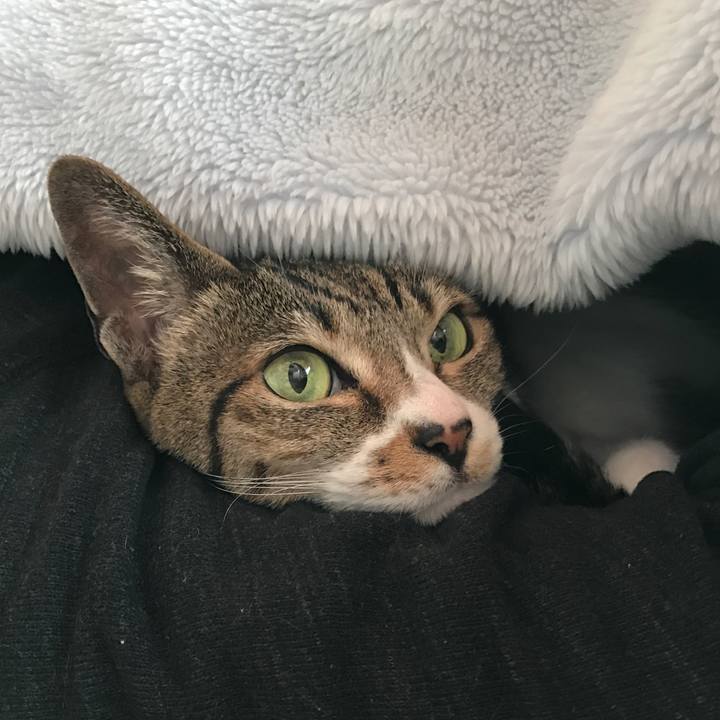 A5c0f420 6841 404f affd 7031f77bf9ad