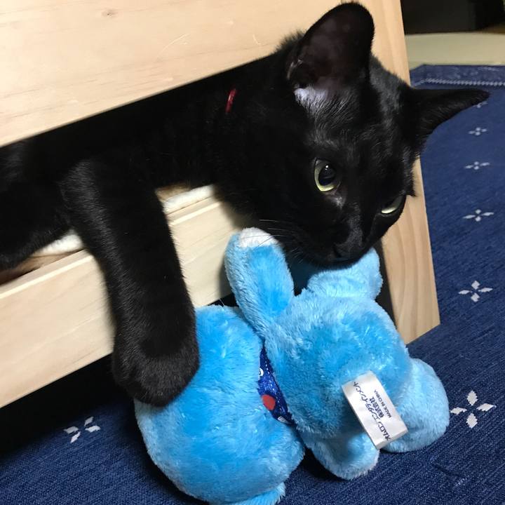 A5c1037d d3d1 48d0 ab19 08028cfdf13c