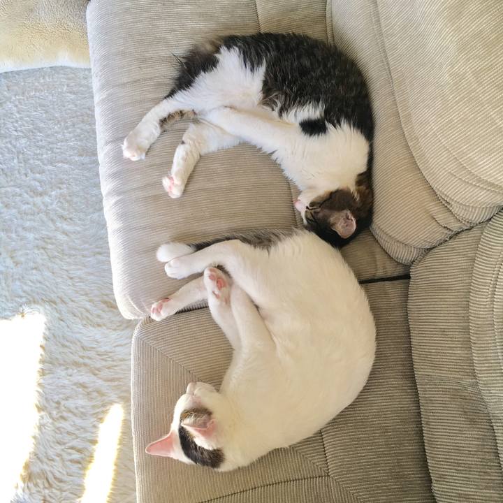 A5c12b08 a4cd 4fa9 ad43 88077e68f890