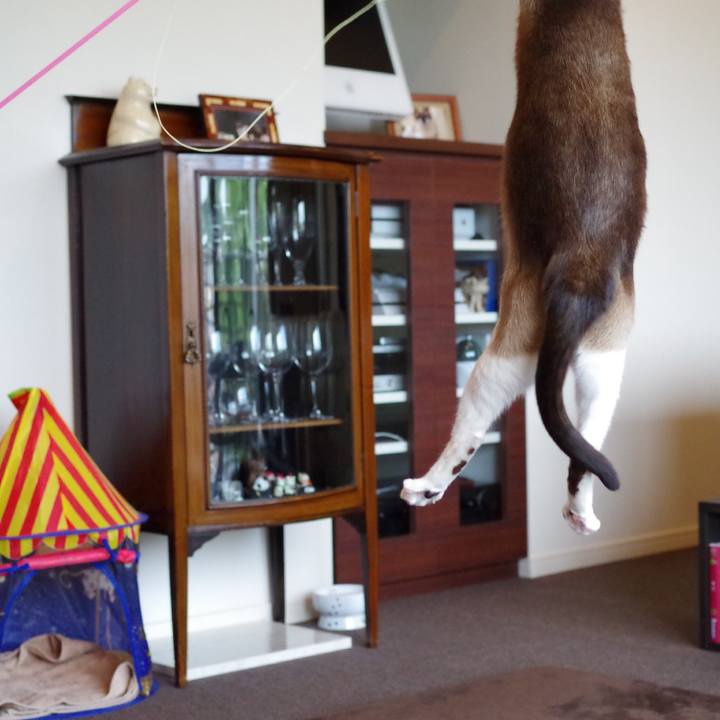 A5c15a46 f148 4c6f b6c9 872e480ccdae