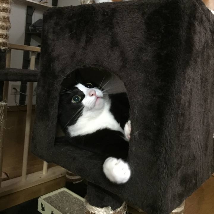 A5c171a0 2c7d 49c8 9e66 adb439c4ca14