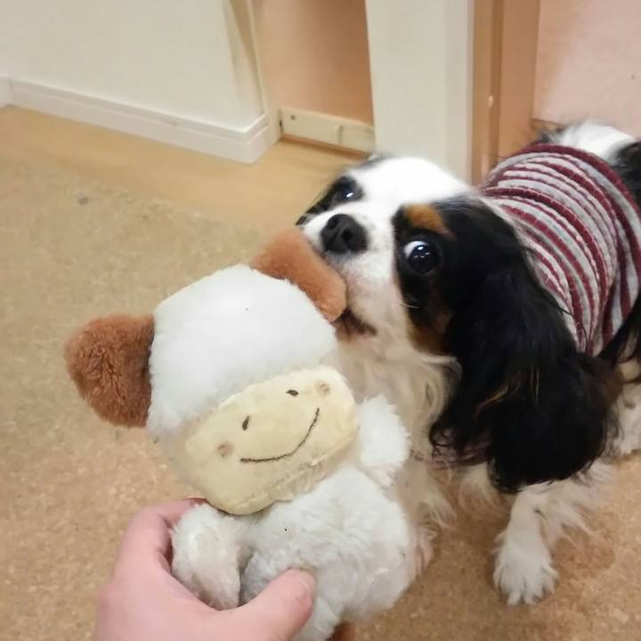 A5c1edb2 e960 4a0b a705 4dd616509ae2