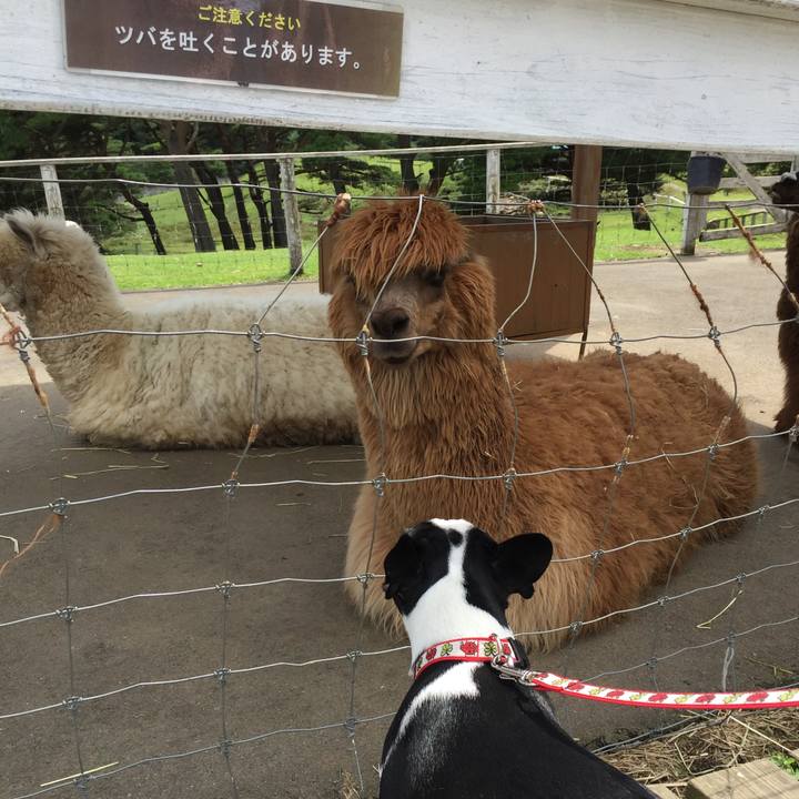 A5c2a725 b44f 483a a670 73d1b5da3c18