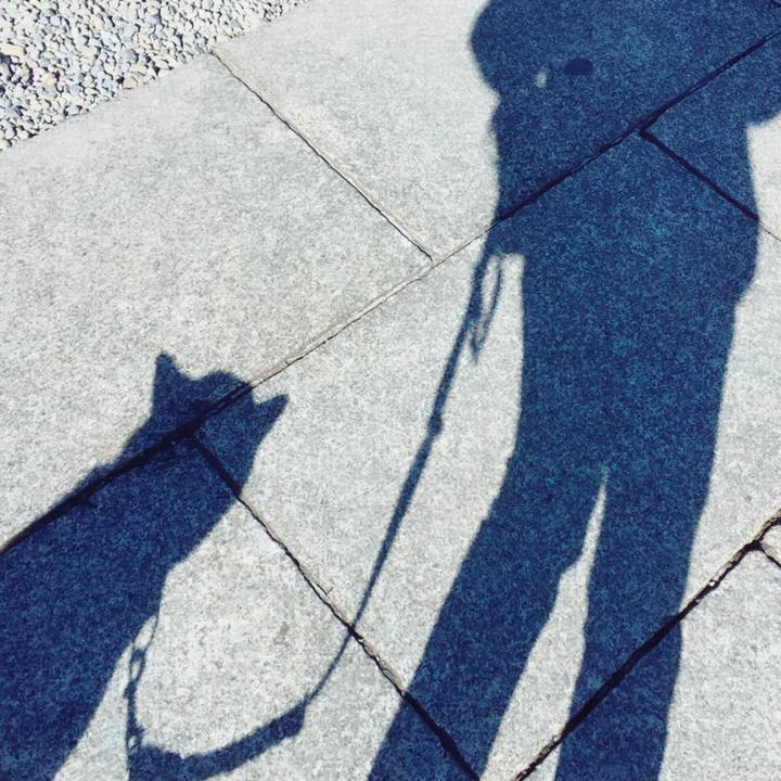 A5c2a78f 5fd4 49b0 96e9 ae04f3269161