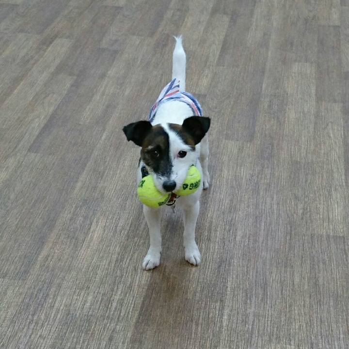 A5c32a12 09f2 425a b0da a3df196b39b9