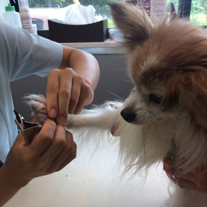 A5c331b6 879b 4065 80dd 526c4c4a474a