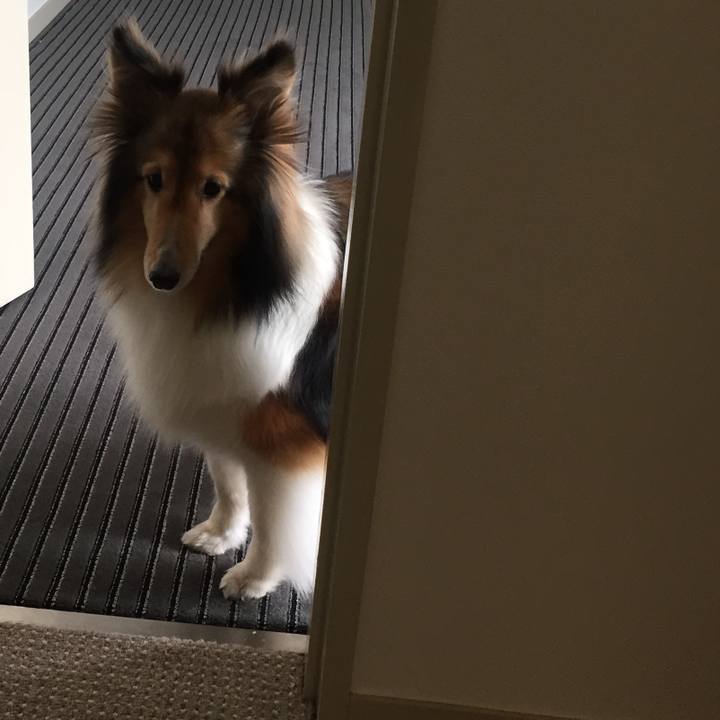 A5c36a8c b907 4ee8 8b62 a89e04b5b52c