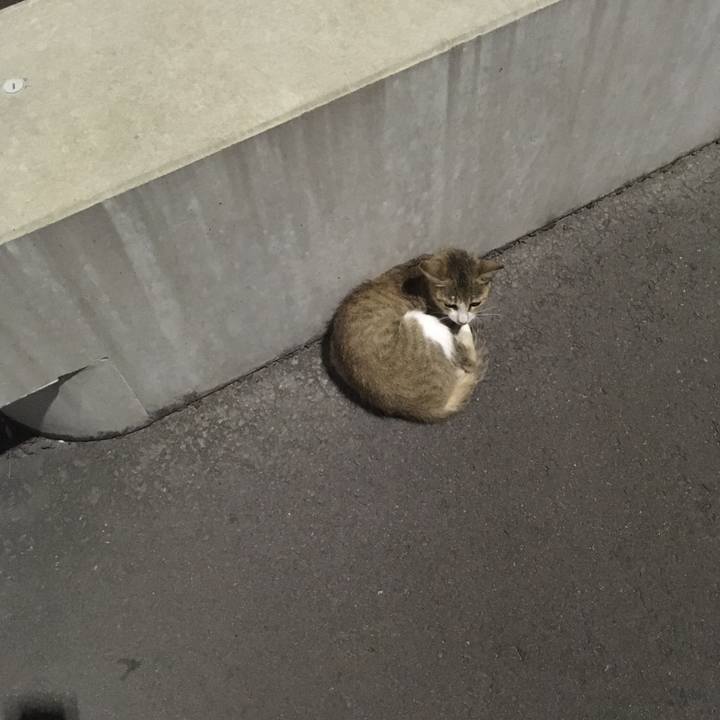 A5c3c6dc 9866 4fb1 b779 2f37eabccc87