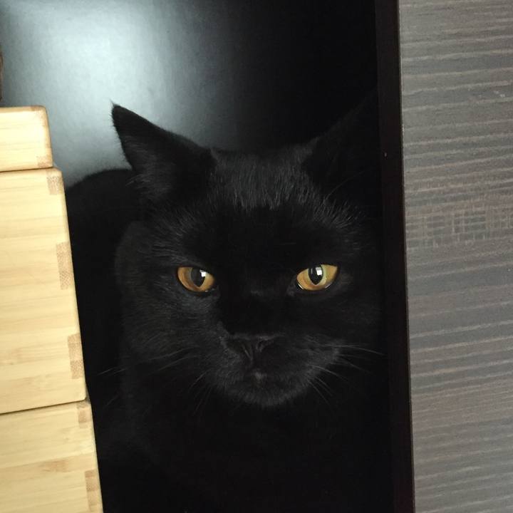 A5c3d6db 8469 4352 94d1 2599d36f0905