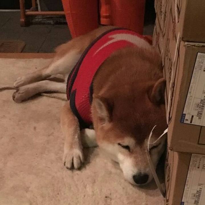 A5c50412 778c 41f1 8b8f f6ce75eb9198