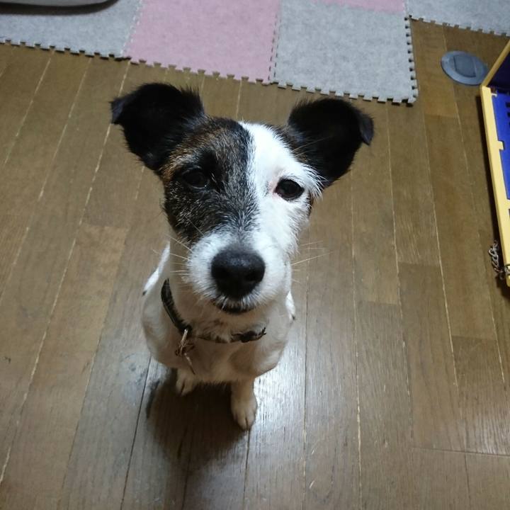 A5c546b9 c437 45d3 bf22 d625c5ee2712